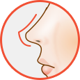 Nose